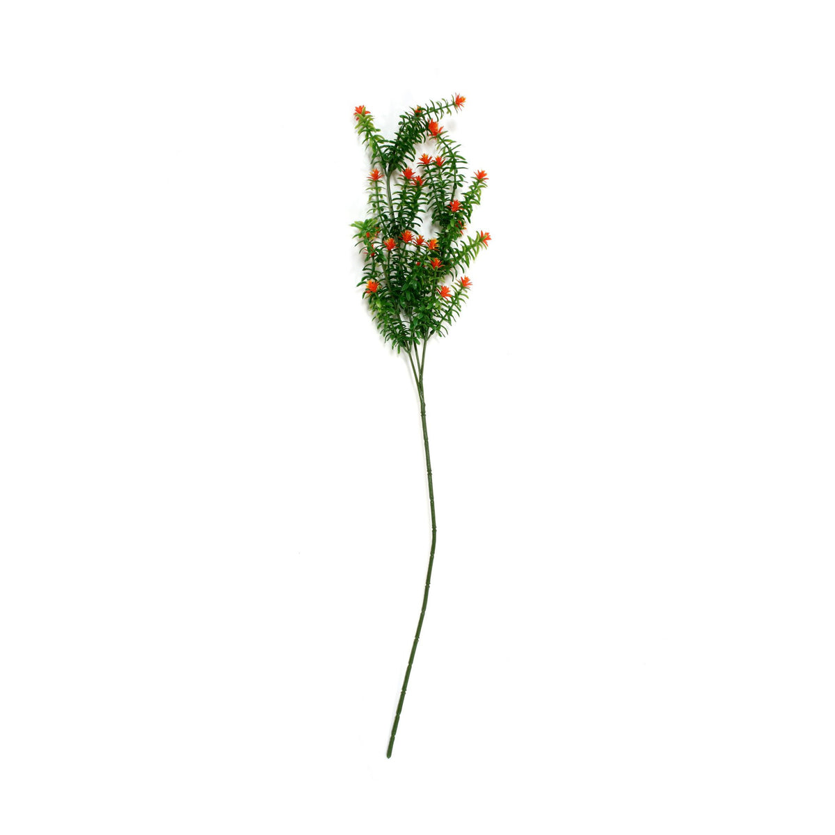 PP1028 - ANACHARIS SPRAY X3 W27 LVS & FL