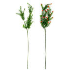 PP1028 - ANACHARIS SPRAY X3 W27 LVS & FL