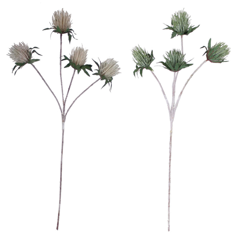 PP1116