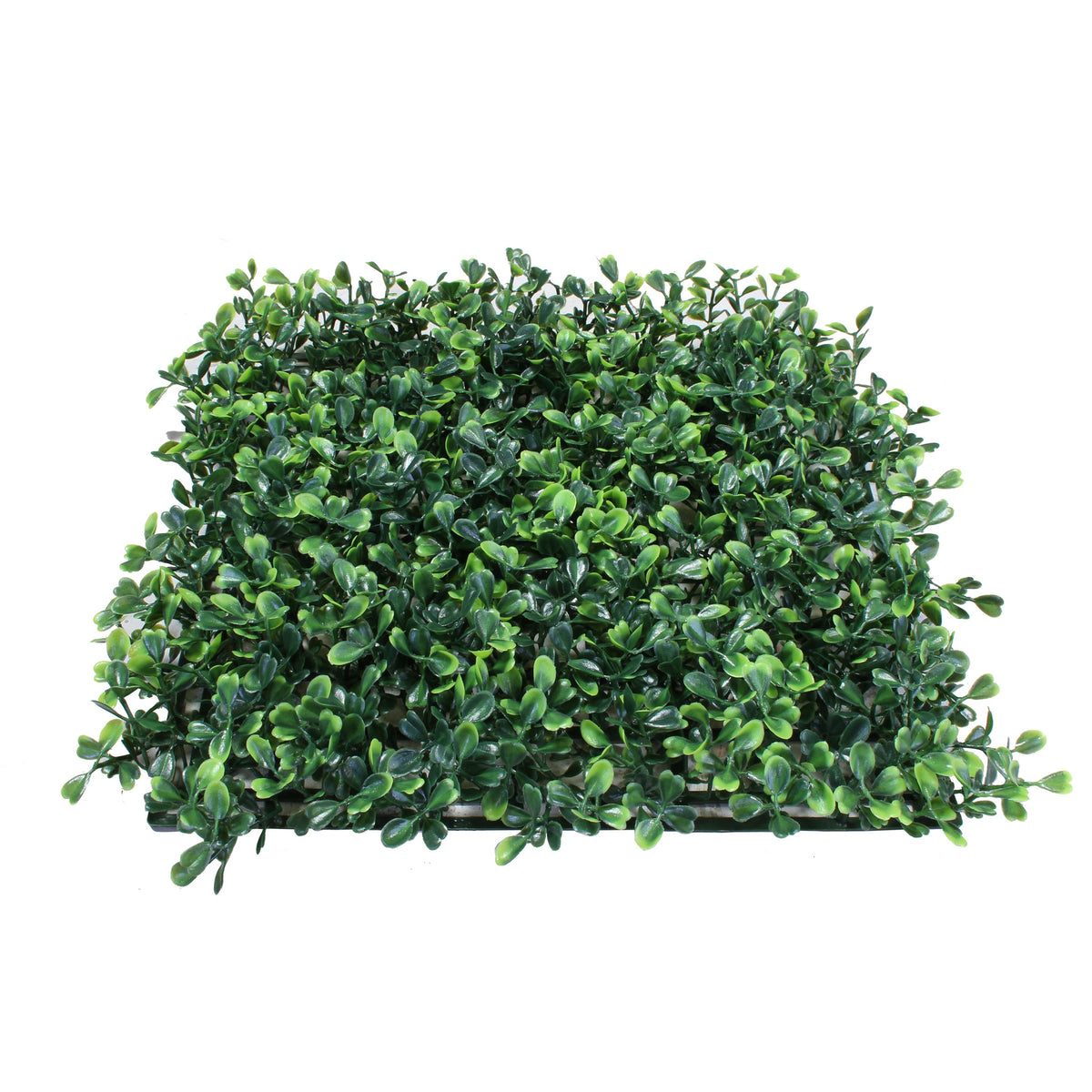 PP4011-BOXWOOD MAT