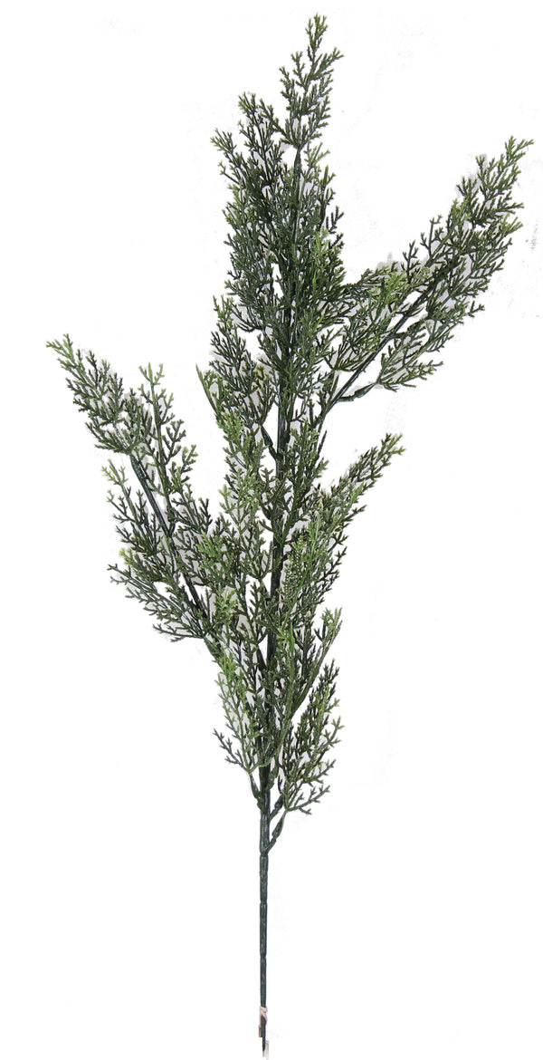 MINI CEDAR SPRAY