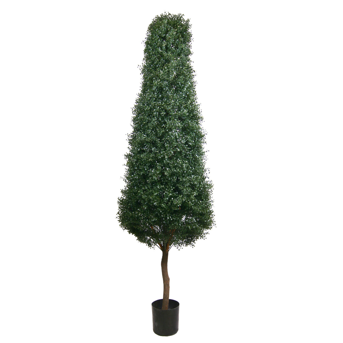 PP4031 -  PTD BOXWOOD TOWER TREE W/8304LVS