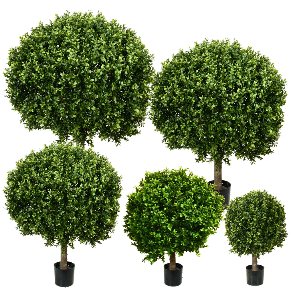 PP4036B-BOXWOOD BALL