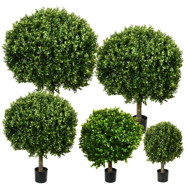 PP4036B-BOXWOOD BALL