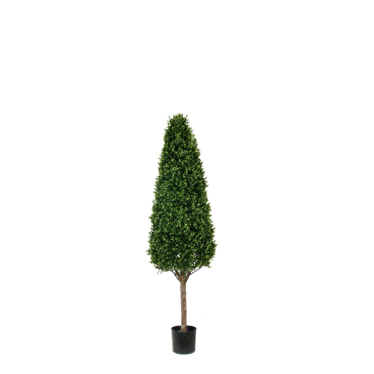 PP4036C-BOXWOOD TOWER
