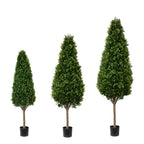 PP4036C-BOXWOOD TOWER