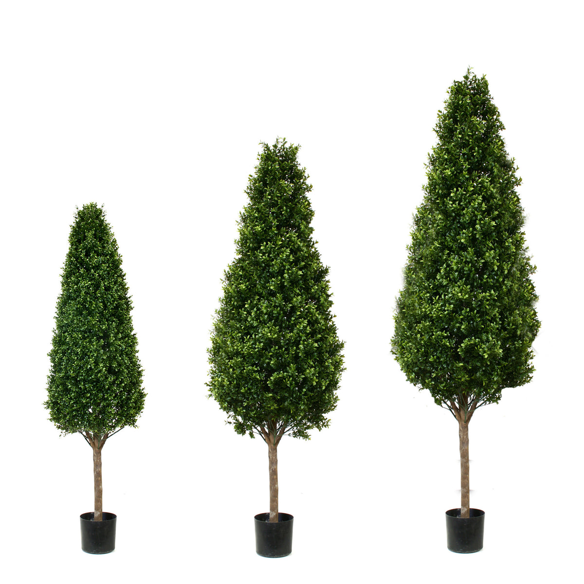 PP4036C-BOXWOOD TOWER