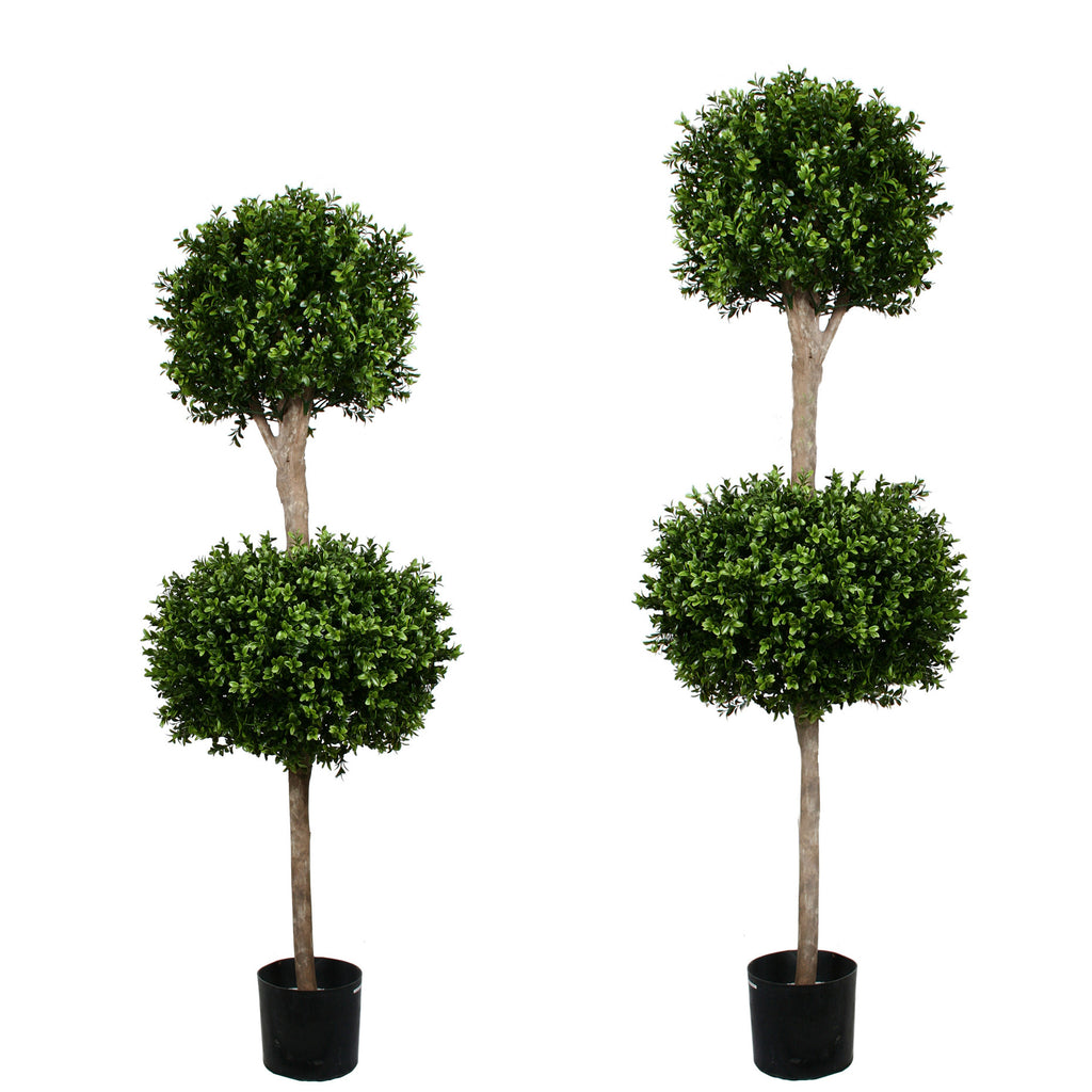 PP4036DB-BOXWOOD DOUBLE BALL TREE
