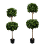 PP4036DB-BOXWOOD DOUBLE BALL TREE