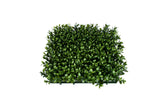 PP4036MT-SQUARE NEW BOXWOOD MAT