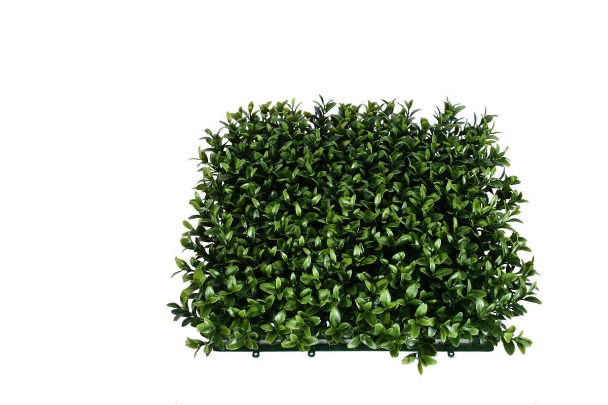 PP4036MT-SQUARE NEW BOXWOOD MAT