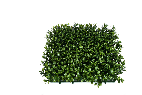 PP4036MT-SQUARE NEW BOXWOOD MAT