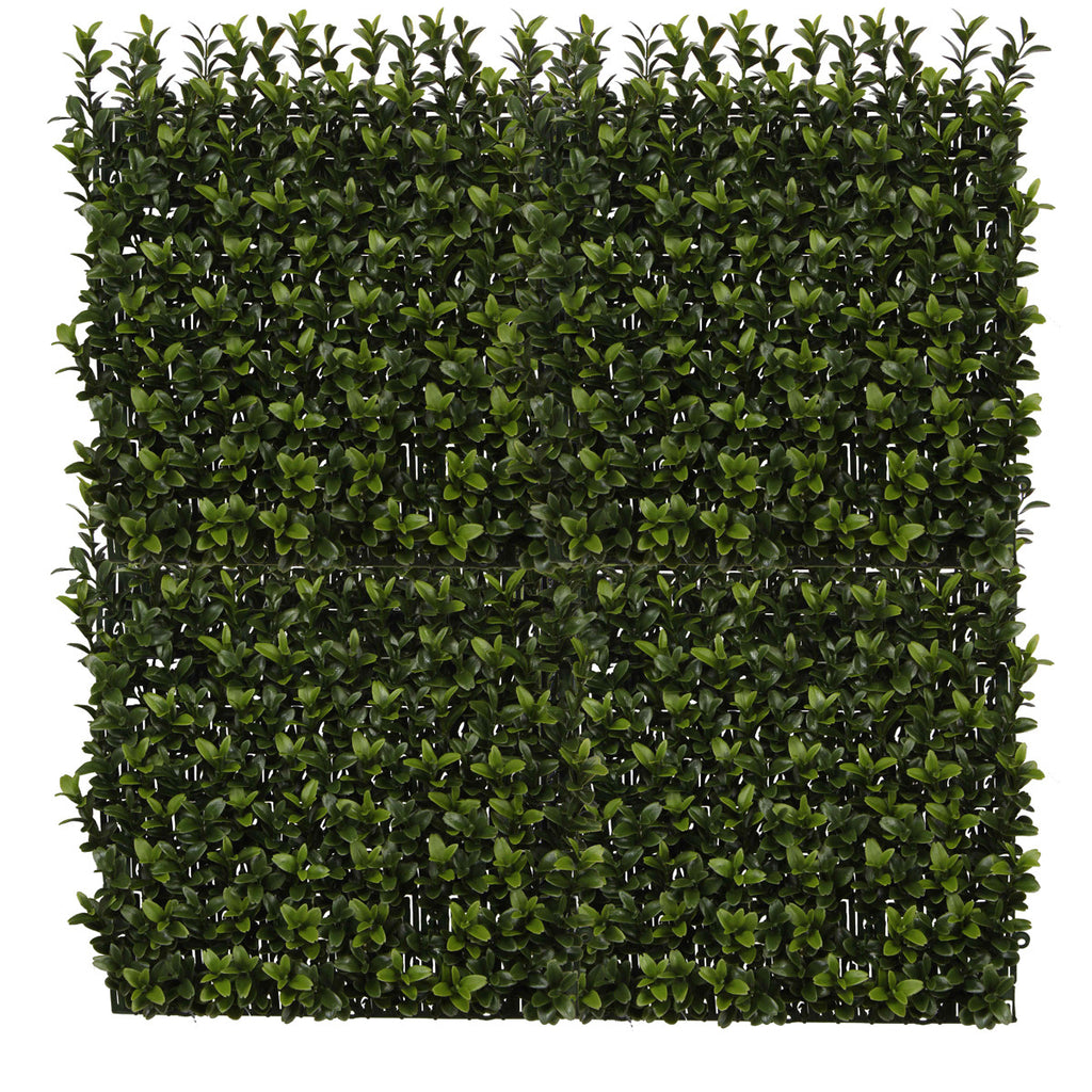 PP4036WMTA-OUTDOOR BOXWOOD WALL MAT WITH SOLID BACK.