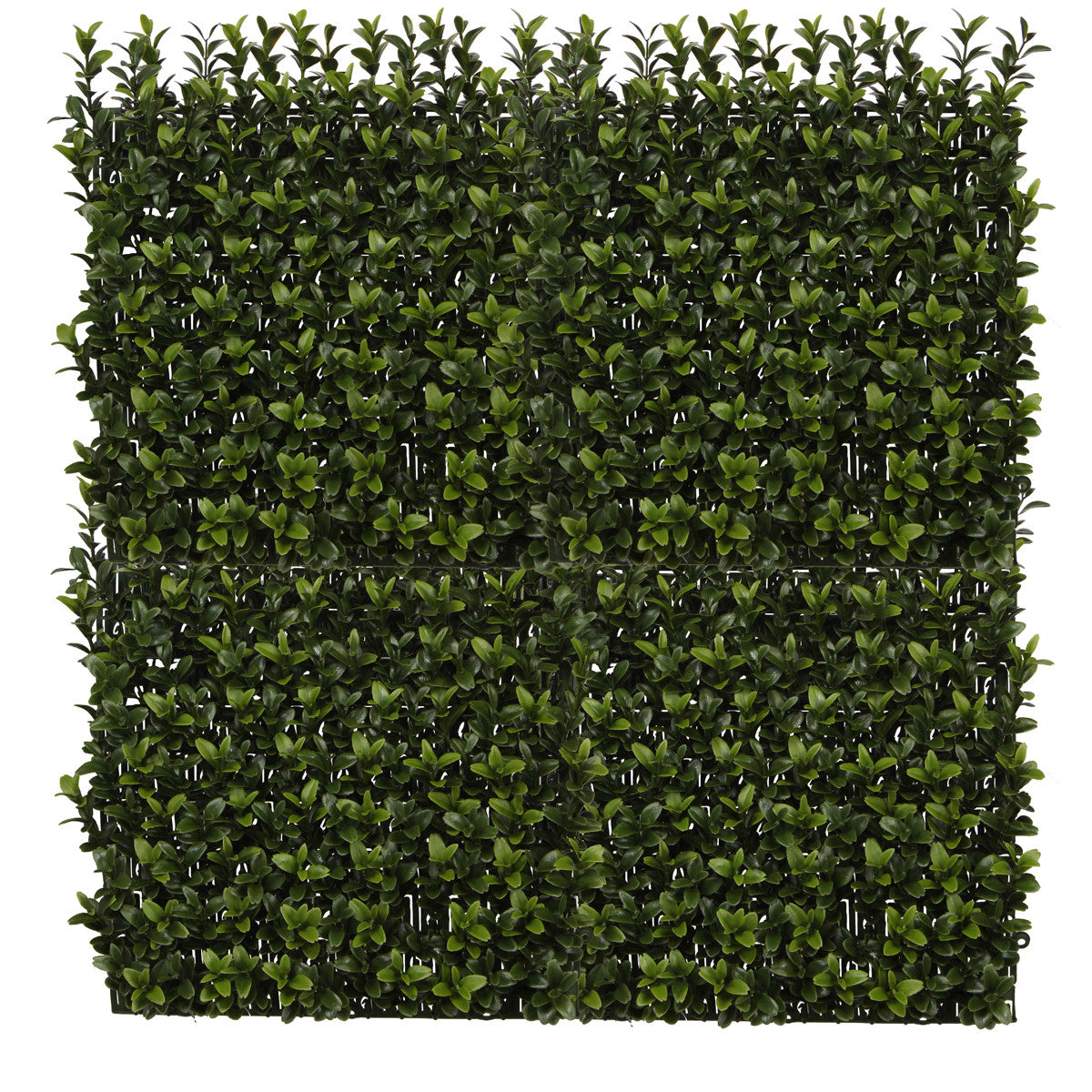 PP4036WMTA-OUTDOOR BOXWOOD WALL MAT WITH SOLID BACK.