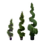 PP4037S-MINI CYPRESS SPIRAL TREE