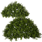 PP4039HB-TEA LEAF HALF BALL