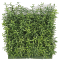 PP4039WMTA-TEA LEAF WALL MAT