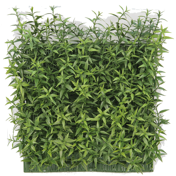 PP4039WMTA-TEA LEAF WALL MAT