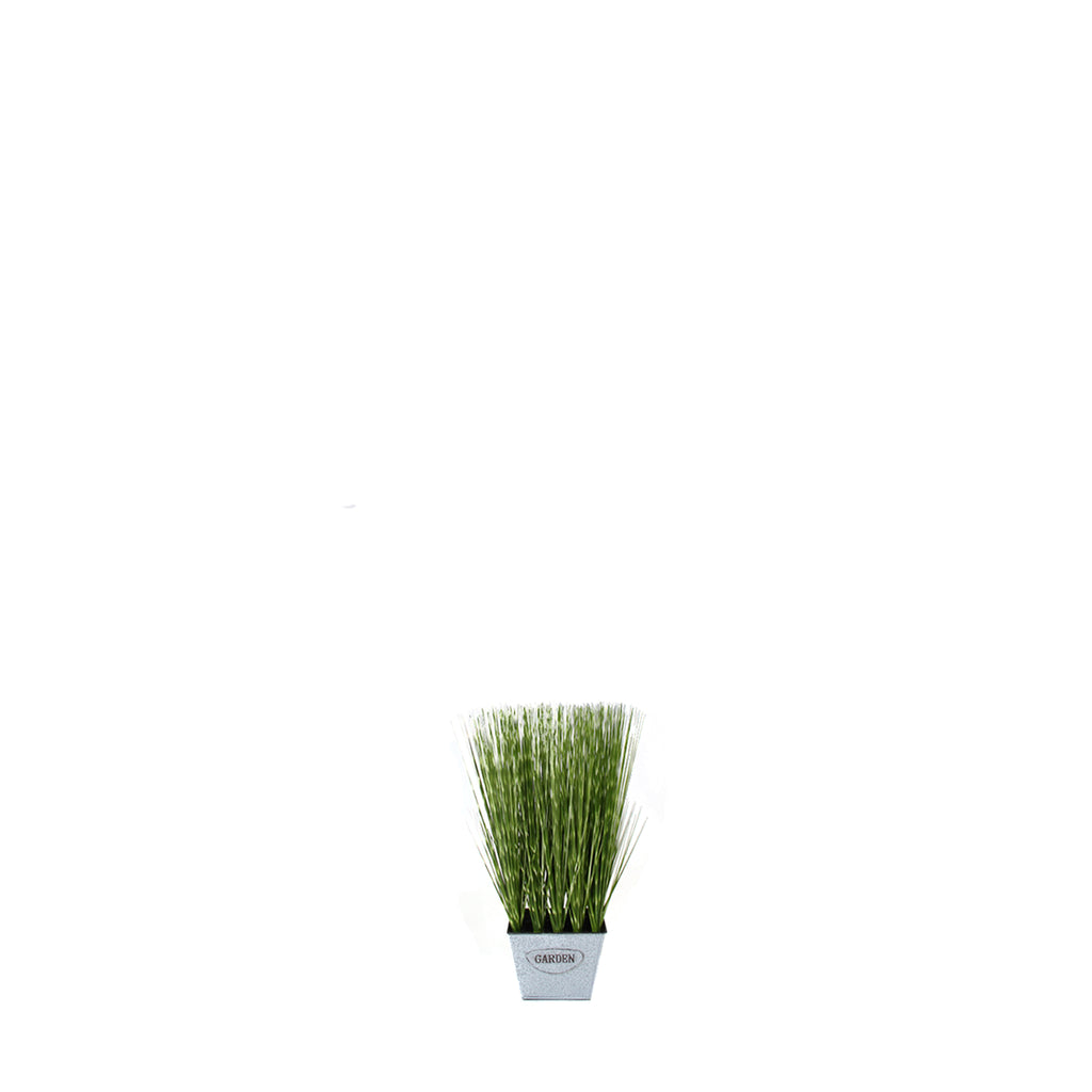 PTP1501SQ-WHEAT GRASS IN SQUARE WINDOW BOX