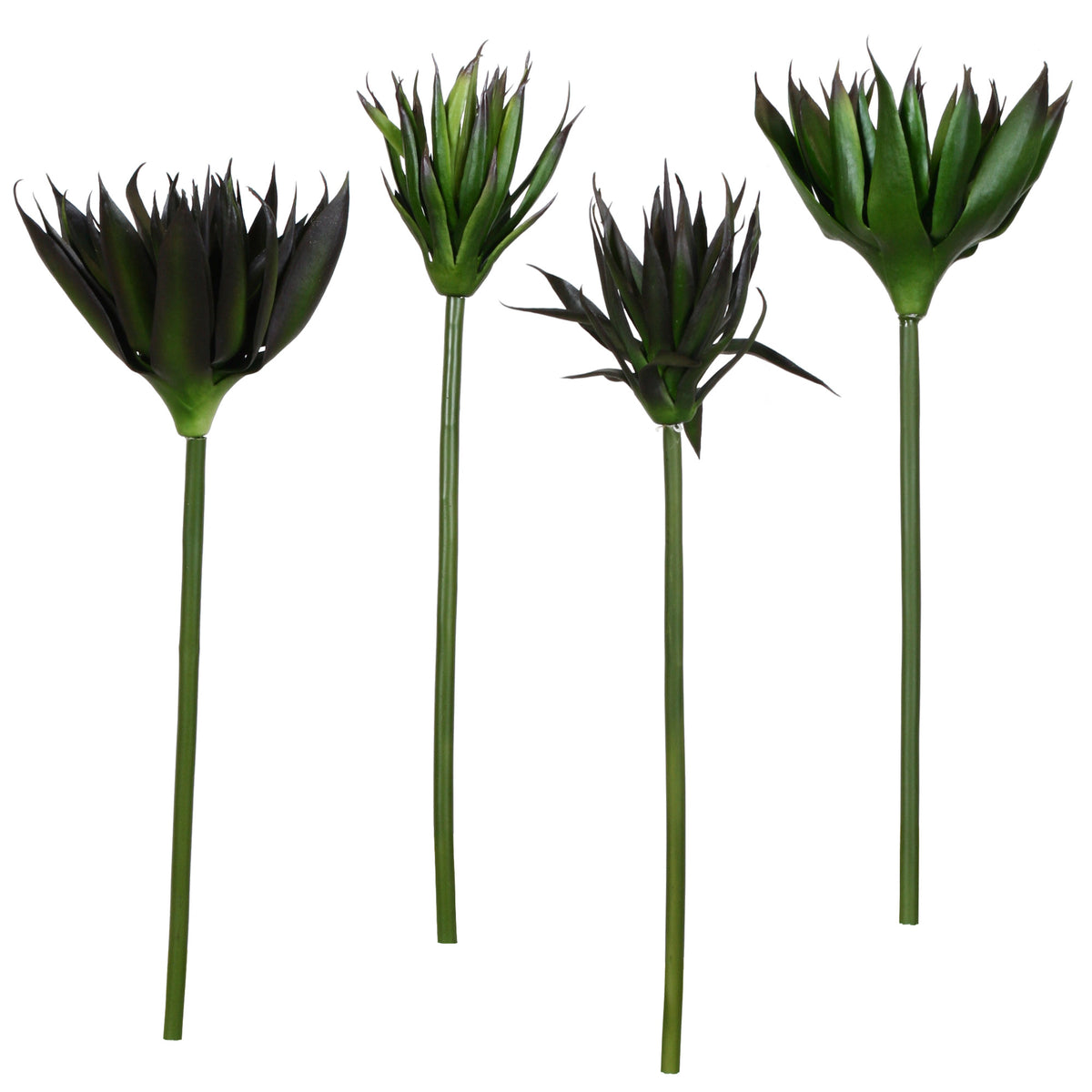 P2827-BLACK AGAVE STEM